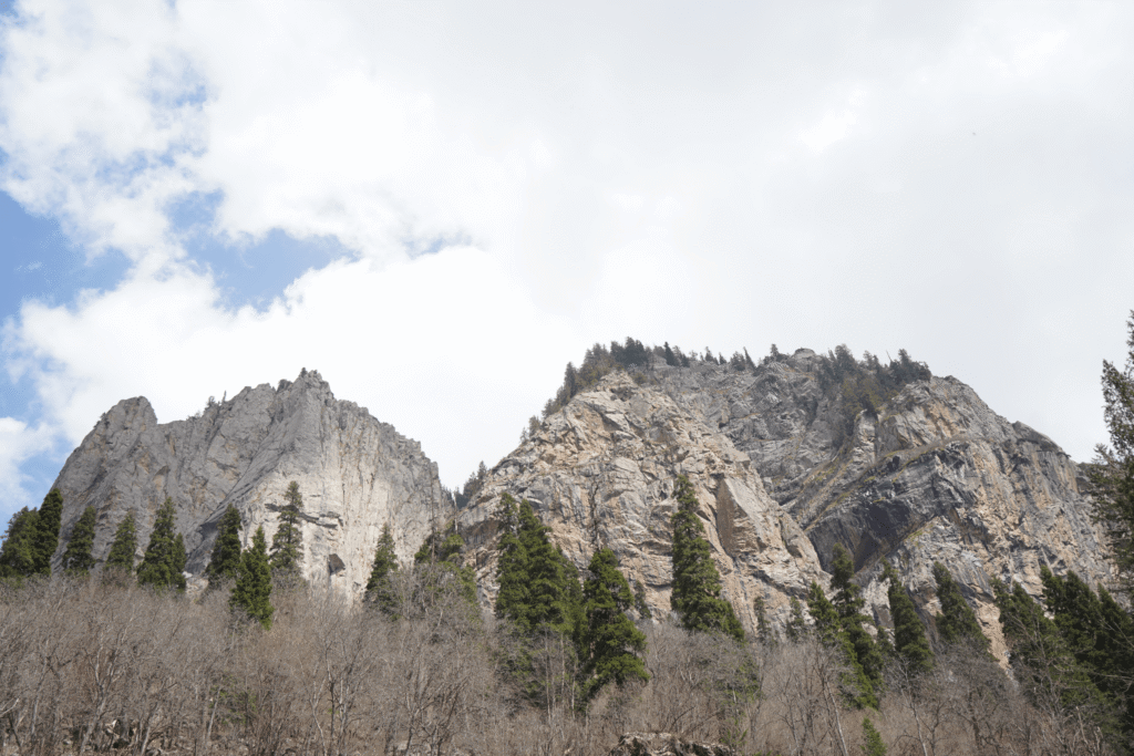 Rocky mountains and trees in Kumrat Valley.